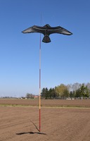 plašič ptactva SCARYBIRD